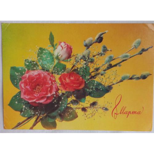 Фотооткрытка. 8 Марта. Фото И. Дергилева. 1990 г.