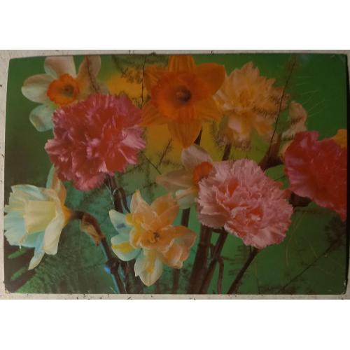 Фотооткрытка. Композиция из цветов. Фото Г. Костенко. 1981 г.