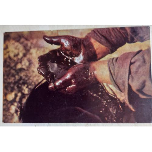 Фотооткрытка. В краю Тюменской нефти. 1969  г.
