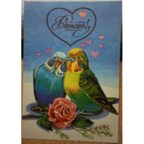 Худож.открытка. Вiтаю! Худ. Л. Гончарова. 1994 г.