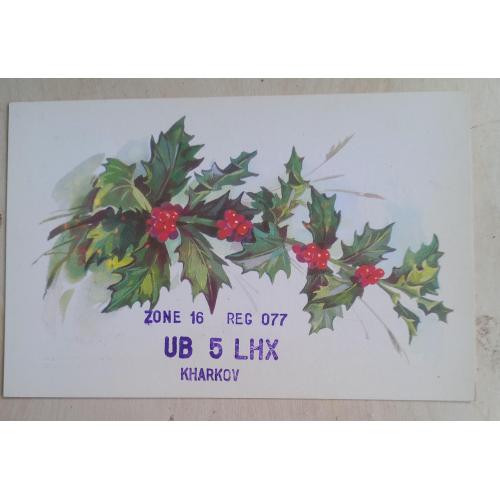 Художественная открытка. Лех. Худ. Е. Куртенко. 1977 г. Заполнена, как QSL-карточка. 