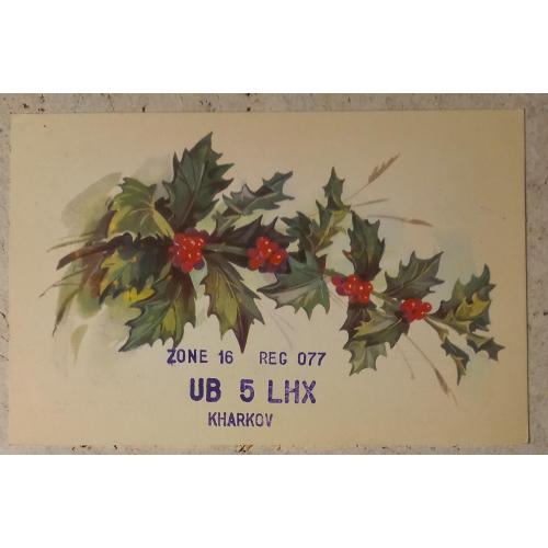 Художественная открытка. Лех. Худ. Е. Куртенко. 1977 г. 