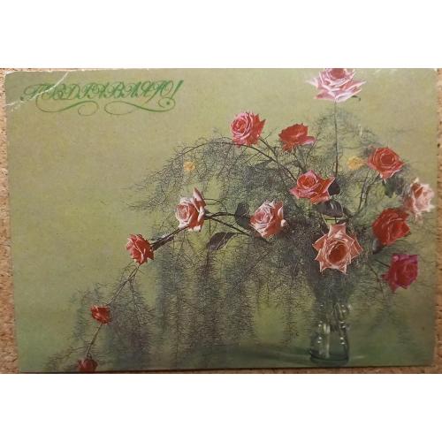 Почтовая открытка. Поздравляю. Худ. Л. Садловская. Фото В. Бабайлова.1980 г.