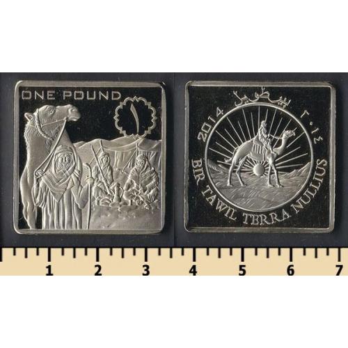 Бир-Тавиль 1 фунт 2014