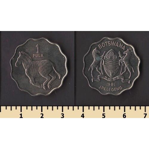 Ботсвана 1 пула 1981