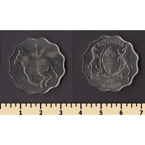 Ботсвана 1 пула 1981