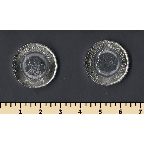 Фолклендские острова 1 фунт 2023