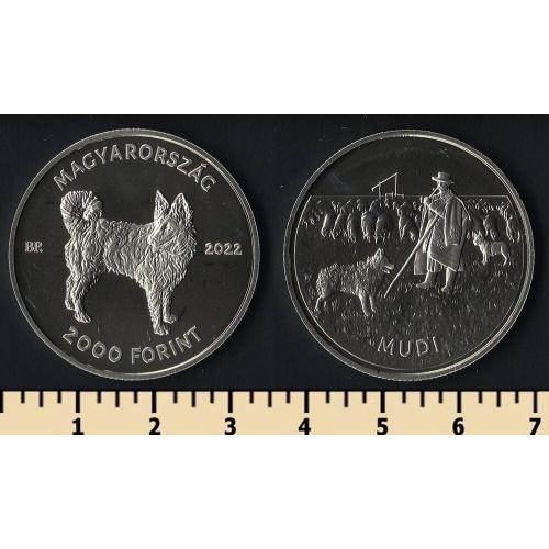 Венгрия 2000 форинтов 2022
