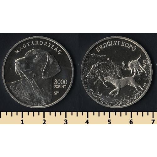 Венгрия 3000 форинтов 2023