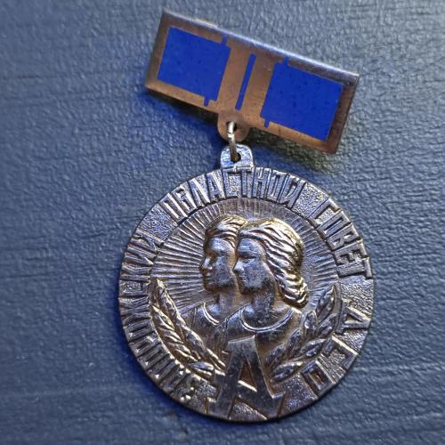 Знак Запорізької обласної ради ДСО