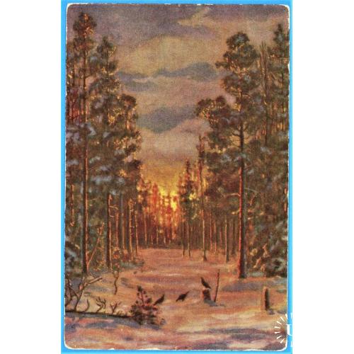 Рига природа ліс лес листівка почтовая карточка Ernst Plates