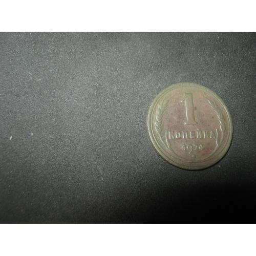 1. 1 копейка 1924 года 