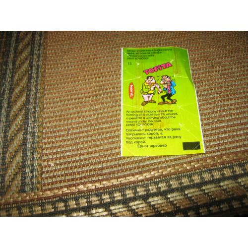 Tofita,номер 13