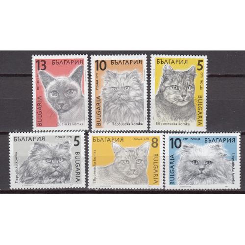 БОЛГАРИЯ 1989 Фауна Кошки (**)
