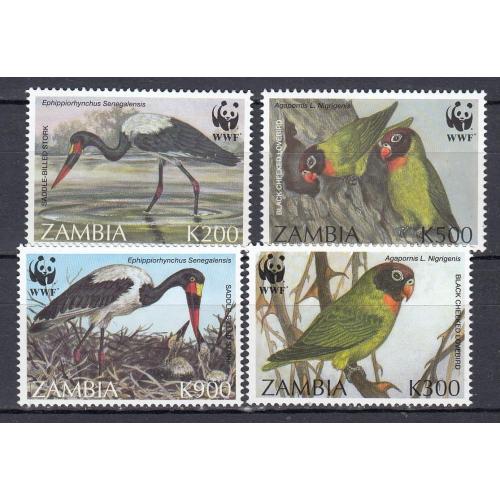 ЗАМБИЯ. 1996. Фауна. Птицы(**)