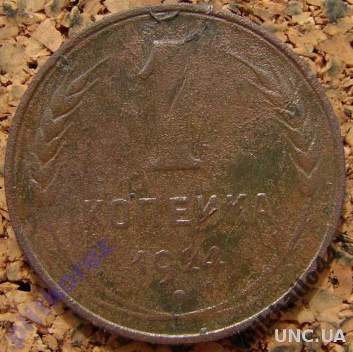 1 копейка 1924 монета 2 срср ссср 