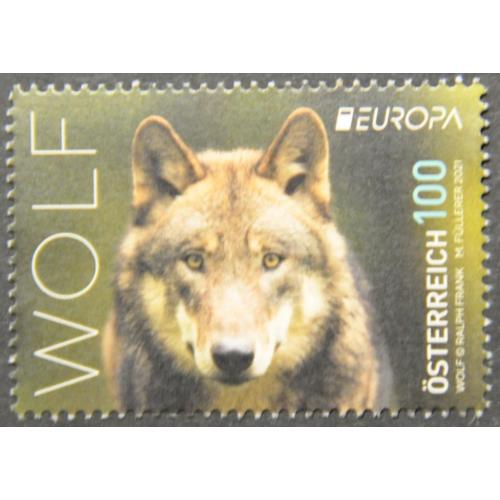 Австрия Фауна Волк Европа СЕПТ 2021