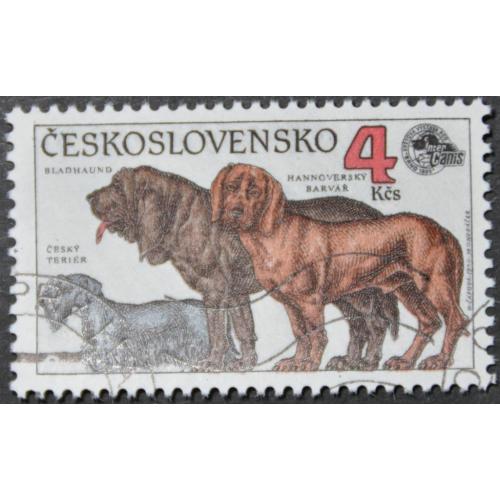 Чехословакия Фауна Собаки