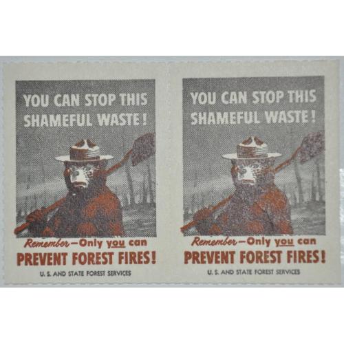 CША Непочтовые Лес Пожар Медведь 1938
