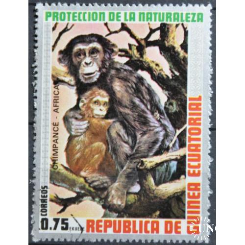 Экваториальная Гвинея Фауна Обезьяны 1976