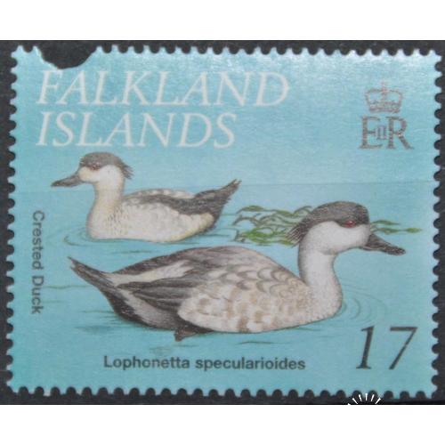 Фолклендские острова Фауна Птицы