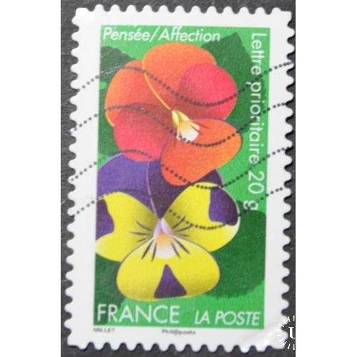 Франция флора цветы 2012