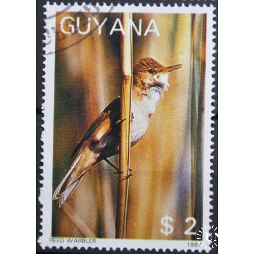 Гайана Фауна Птицы 1987