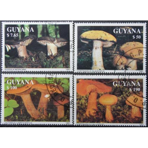 Гайана Флора Грибы 1991