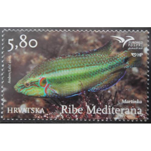 Хорватия Фауна Рыбы 2016