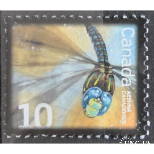 Канада Фауна насекомые стрекоза Без клея
