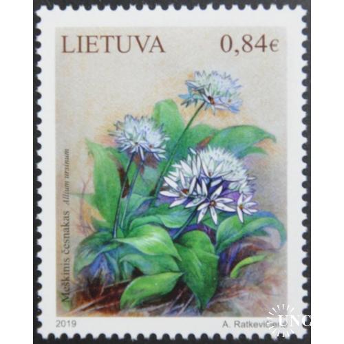 Литва Красная книга Флора Растения (Allium Ursinum) 2019