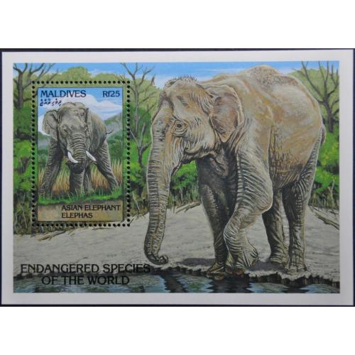 Мальдивы Фауна Азиатский слон 1993