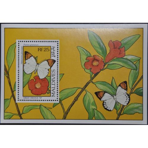 Мальдивы Фауна Бабочки 1993