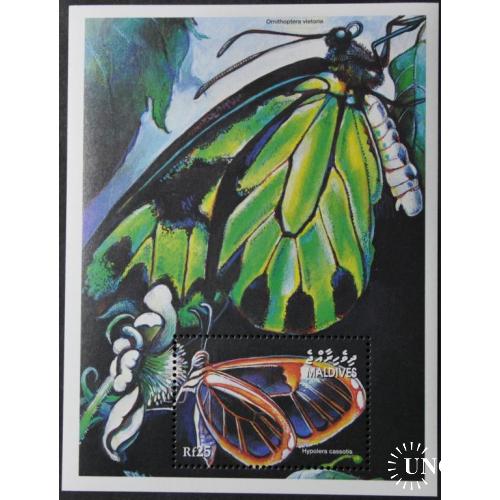 Мальдивы Фауна Бабочки 2001