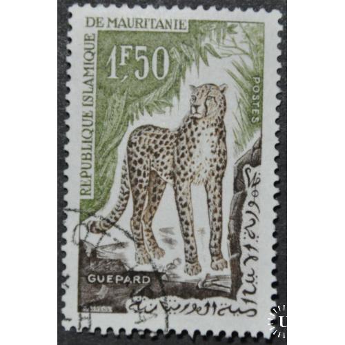 Мавритания Фауна Гепард 1963