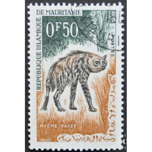 Мавритания Фауна Полосатая гиена 1963