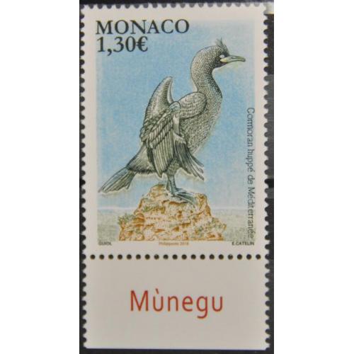 Монако Фауна Птицы 2018