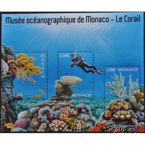 Монако Морская фауна и флора Аквалангист 2020