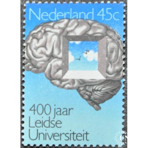 Нидерланды Университет Образование 1975