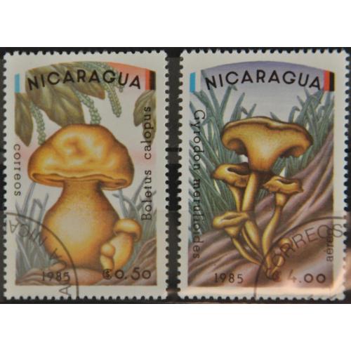 Никарагуа Флора Грибы 1985