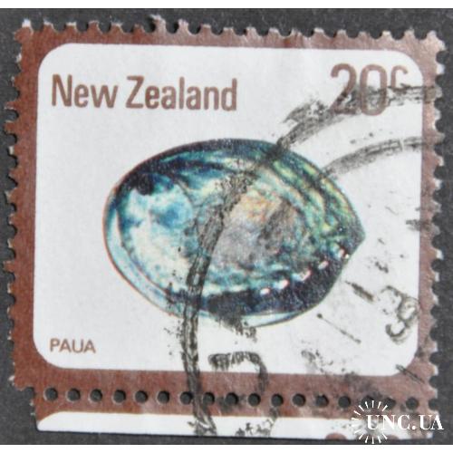 Новая Зеландия Фауна Морская Улитка Пауа