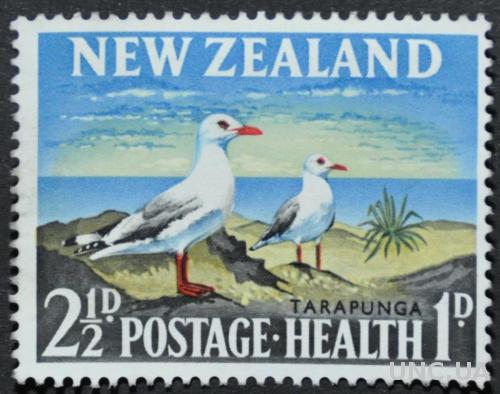 Новая Зеландия Фауна Птицы Медицина Без клея