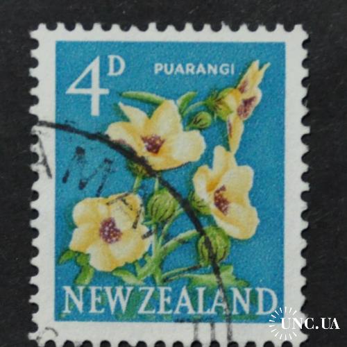 Новая Зеландия Флора Цветы