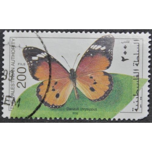 Палестина Фауна Бабочки 1998