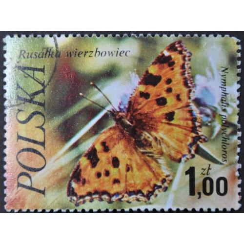 Польша Фауна Бабочки 1977