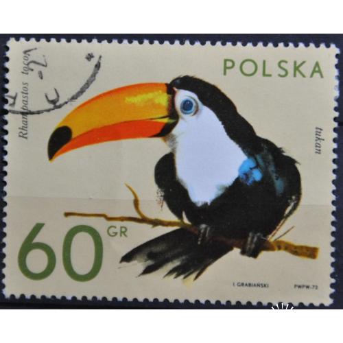 Польша Фауна Птицы 1972