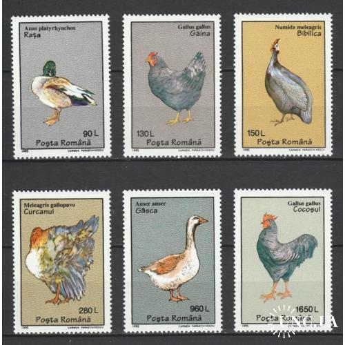 Румыния Фауна Птицы 1995