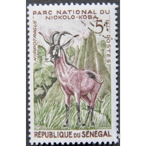 Сенегал Фауна 1962