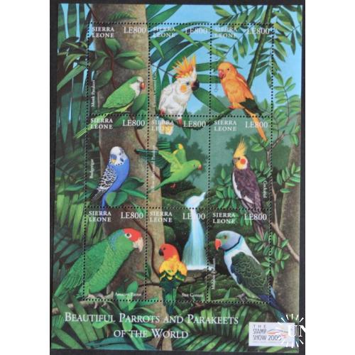Сьерра Леоне Филвыставка Фауна Птицы Попугай 2000
