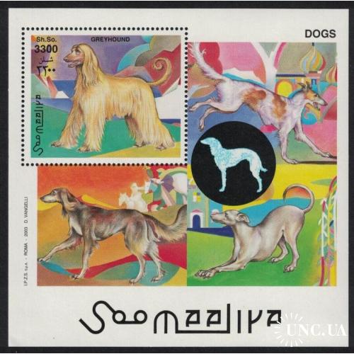Сомали Фауна Собаки 2003